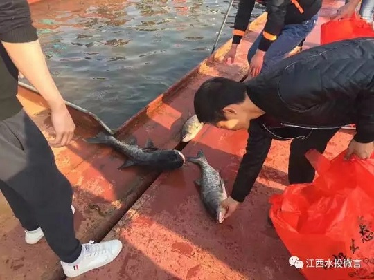巾幗心向黨 揚帆新征程 江西水投集團(tuán)舉辦“三八”國際婦女節(jié)紀(jì)念活動